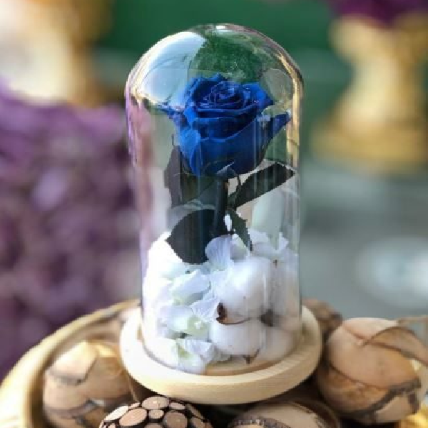 ورود طويلة الأمد