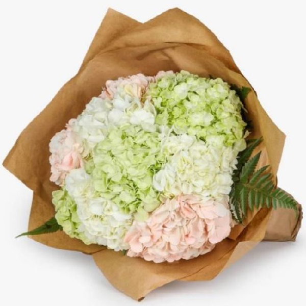 بوكيهات اليد