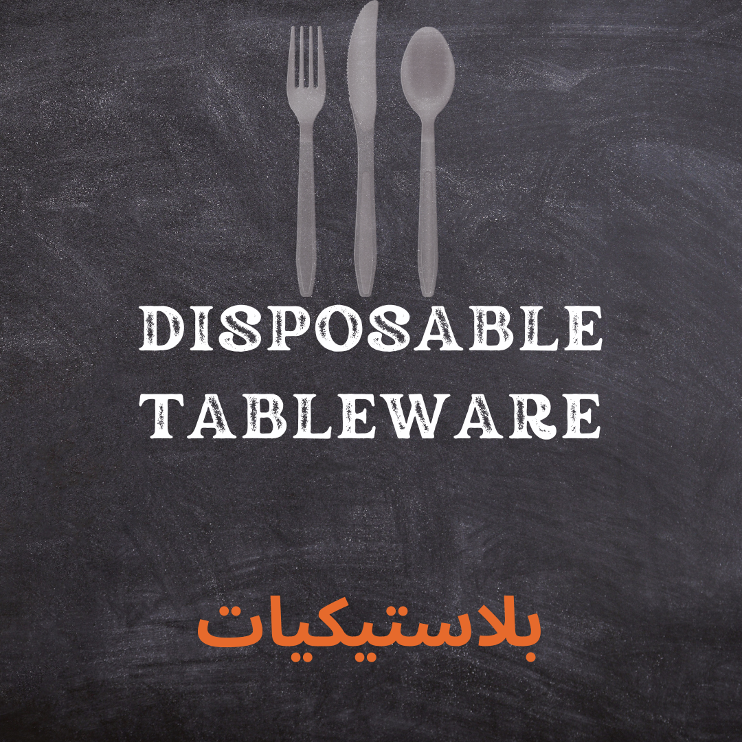 DISPOSABLE TABLEWARE