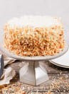 toasted coconut cake