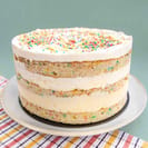 naked birthday cake