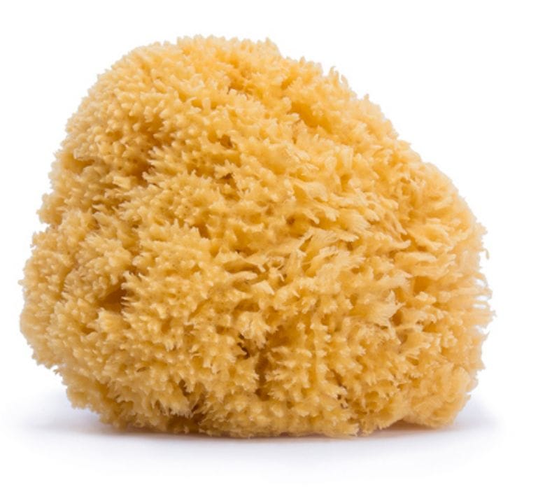 Suavinex Large Naturel Sponge