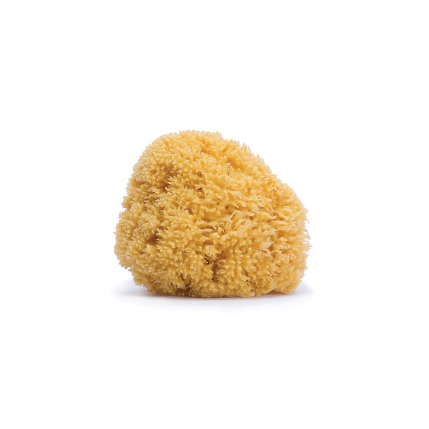 Suavinex Medium Naturel Sponge