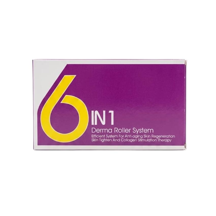 6 IN 1 Derma Roller System